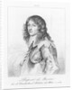 Portrait of Prince Rupert of Bavaria by Anonymous