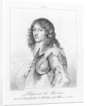Portrait of Prince Rupert of Bavaria by Anonymous