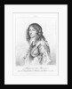 Portrait of Prince Rupert of Bavaria by Anonymous