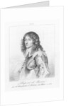 Portrait of Prince Rupert of Bavaria by Anonymous