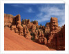 Red Canyon by Corbis