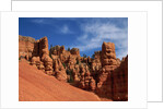 Red Canyon by Corbis