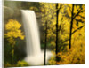 South Silver Falls in autumn - Silver Falls State Park, OR by Anonymous