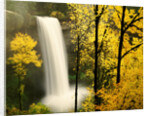 South Silver Falls in autumn - Silver Falls State Park, OR by Anonymous