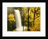 South Silver Falls in autumn - Silver Falls State Park, OR by Anonymous