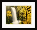 South Silver Falls in autumn - Silver Falls State Park, OR by Anonymous