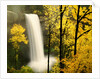 South Silver Falls in autumn - Silver Falls State Park, OR by Anonymous