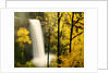 South Silver Falls in autumn - Silver Falls State Park, OR by Anonymous