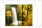 South Silver Falls in autumn - Silver Falls State Park, OR by Anonymous