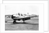 Air Force Trainer T-28 by Anonymous