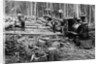 Loggers and Logging Locomotive by Anonymous