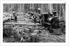 Loggers and Logging Locomotive by Anonymous