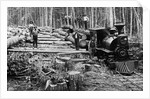 Loggers and Logging Locomotive by Anonymous