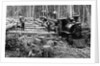 Loggers and Logging Locomotive by Anonymous