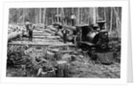 Loggers and Logging Locomotive by Anonymous