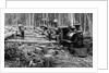 Loggers and Logging Locomotive by Anonymous