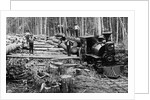 Loggers and Logging Locomotive by Anonymous