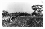 In front line trenches during attack on San Juan Hill during Spanish-American War. July 1, 1898. by Anonymous