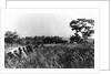 In front line trenches during attack on San Juan Hill during Spanish-American War. July 1, 1898. by Anonymous
