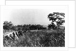 In front line trenches during attack on San Juan Hill during Spanish-American War. July 1, 1898. by Anonymous