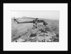 CH-54 "Flying Crane" in Flight by Anonymous