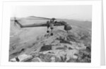 CH-54 "Flying Crane" in Flight by Anonymous