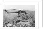 CH-54 "Flying Crane" in Flight by Anonymous