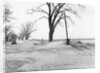Kansas Dust Bowl by Anonymous