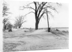Kansas Dust Bowl by Anonymous