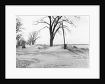 Kansas Dust Bowl by Anonymous