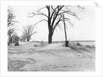Kansas Dust Bowl by Anonymous