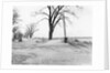 Kansas Dust Bowl by Anonymous
