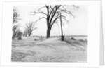 Kansas Dust Bowl by Anonymous