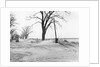 Kansas Dust Bowl by Anonymous