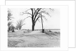 Kansas Dust Bowl by Anonymous