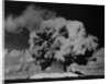 Detonation of Nuclear Device at Bikini Atoll by Anonymous