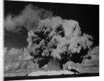 Detonation of Nuclear Device at Bikini Atoll by Anonymous