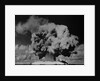 Detonation of Nuclear Device at Bikini Atoll by Anonymous