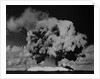 Detonation of Nuclear Device at Bikini Atoll by Anonymous