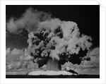 Detonation of Nuclear Device at Bikini Atoll by Anonymous