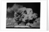 Detonation of Nuclear Device at Bikini Atoll by Anonymous