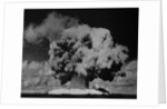 Detonation of Nuclear Device at Bikini Atoll by Anonymous