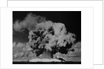 Detonation of Nuclear Device at Bikini Atoll by Anonymous