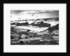 Allied Invasion of Normandy by Anonymous