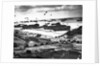Allied Invasion of Normandy by Anonymous