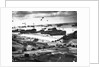 Allied Invasion of Normandy by Anonymous