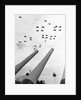U.S. Aircraft Fly Over the Guns of the U.S.S. Missouri by Anonymous