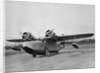 US Army Air Corp OA-9 by Anonymous