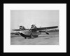 US Army Air Corp OA-9 by Anonymous