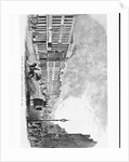 Engraving of Main Street by Anonymous